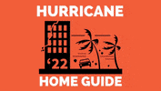 libbydelucien cleaning hurricane organize it GIF