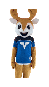 Fehler Brunno Sticker by Imkerei Dintl