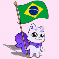 Rio De Janeiro Flag GIF by Lucky Kat Studios