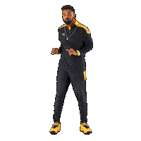 Sport Cricket Sticker by Puma India