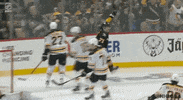 Happy Ice Hockey GIF by NHL