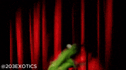 203EXOTICSNACKS snacks connecticut snack time i want more GIF
