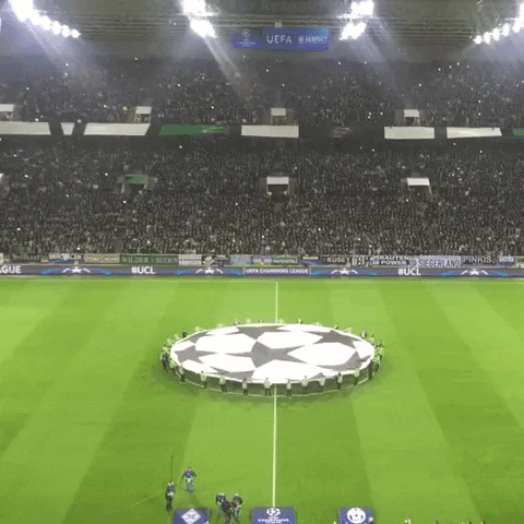 ucl GIF by Borussia Mönchengladbach