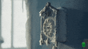 cetelemfr bird cold coucou oiseau GIF