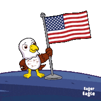 Usa Flag Sticker by VeeFriends
