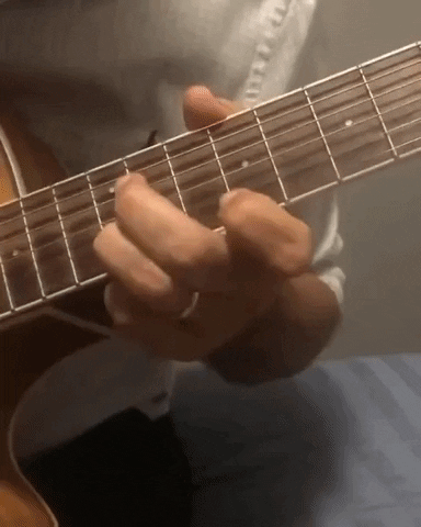 fernandohaddad musica pt cantar haddad GIF