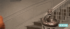 tcm old hollywood tcm 50s turner classic movies GIF
