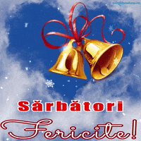 Merry Christmas GIF by echilibrultau
