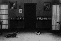 buster keaton daydreams GIF by Maudit