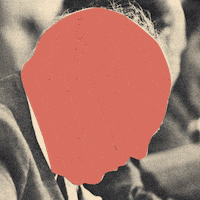 ozchefacose color line collage raw GIF