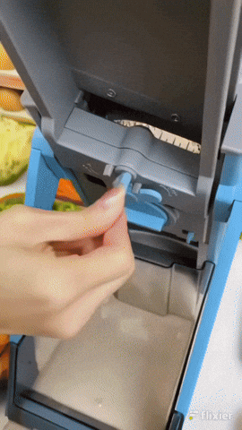 GIF Animado