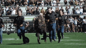 University Of Colorado Coloradobuffaloes GIF by CUBoulder