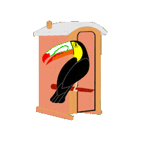 Panama Toucan Sticker by MEDCOMGO