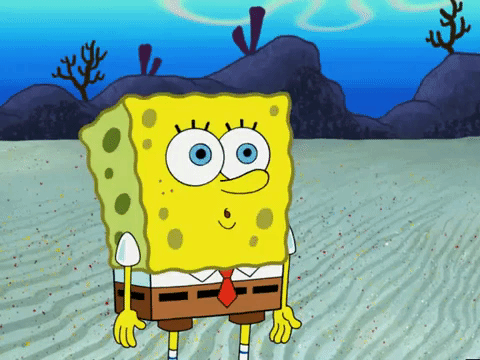 season 5 GIF by SpongeBob SquarePants