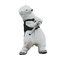 Polar Bear Baseball Sticker by Bowdoin College