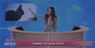 Plus One Television GIF by Speedy Ortiz