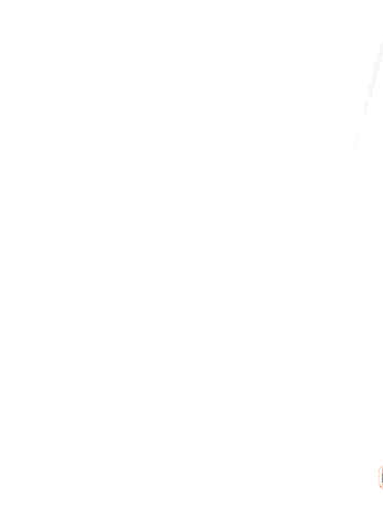 Sg Mannheim Sticker by SG Mannheim Basketball