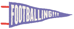 Euro 2020 Football Sticker by LITTLE Agency
