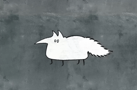 thistlebalm giphyupload confused fox GIF