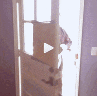 AaronChewning aaron chewning aaronchewning GIF