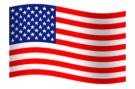 American Usa Sticker