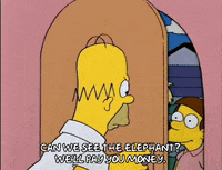 homer simpson GIF
