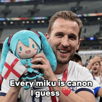 World Cup Football GIF