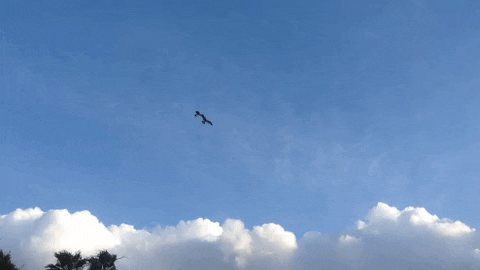 Time Lapse Rockpile GIF by Justin