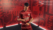 Republicfc Sacrepublic GIF by Sacramento Republic FC