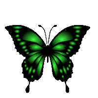Fly Butterfly Sticker