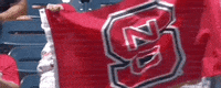 Nc State Baseball GIF by NCAA Championships