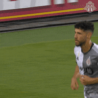 Bmo Field Football GIF by Toronto FC