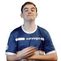 Team Esports Sticker by VirtualGP