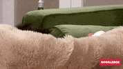 Goggleboxau2020 GIF by Gogglebox Australia