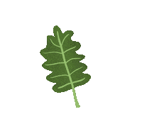 Kitchen Leaf Sticker