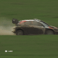 Safari Rally Omg GIF by FIA World Rally Championship