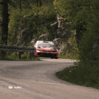 Fast Car Racing GIF by FIA World Rally Championship