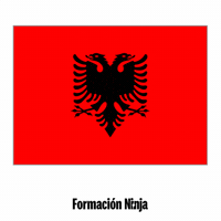 Flag Bandera GIF by Formación Ninja
