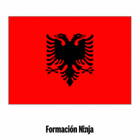 Flag Pixel Art GIF by Formación Ninja