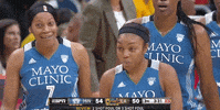 game 4 basketball GIF by WNBA