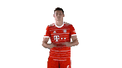 French Football Love Sticker by FC Bayern Munich