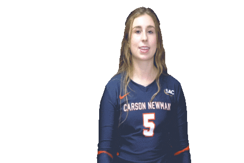 C-N Volleyball Sticker by Carson-Newman Athletics