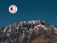 You Can Wow GIF by FranchiseONE.de