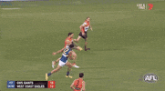 aussie rules finals GIF by AFL