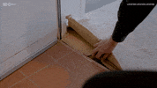 Mitchandmark GIF by Location Location Location Australia