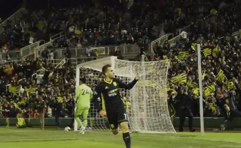Soccer Winning GIF by New Mexico United