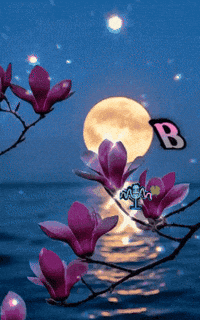 Sol Amigos GIF by Murcianys LLC