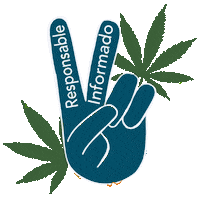 pactoxelclima colombia ong clima ngo Sticker