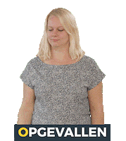 Klasine Sticker by Opgevallen