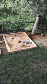 kid GIF by JustViral.Net